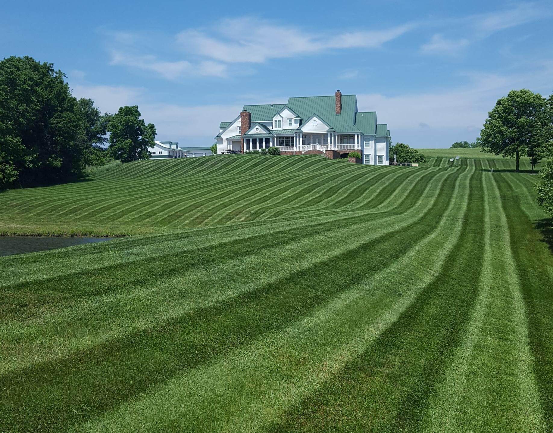 Six-Step Turf Builder Program