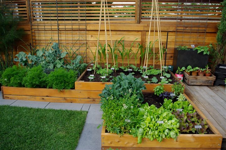 Elevate Your Garden Game With Raised Beds And Planter Boxes