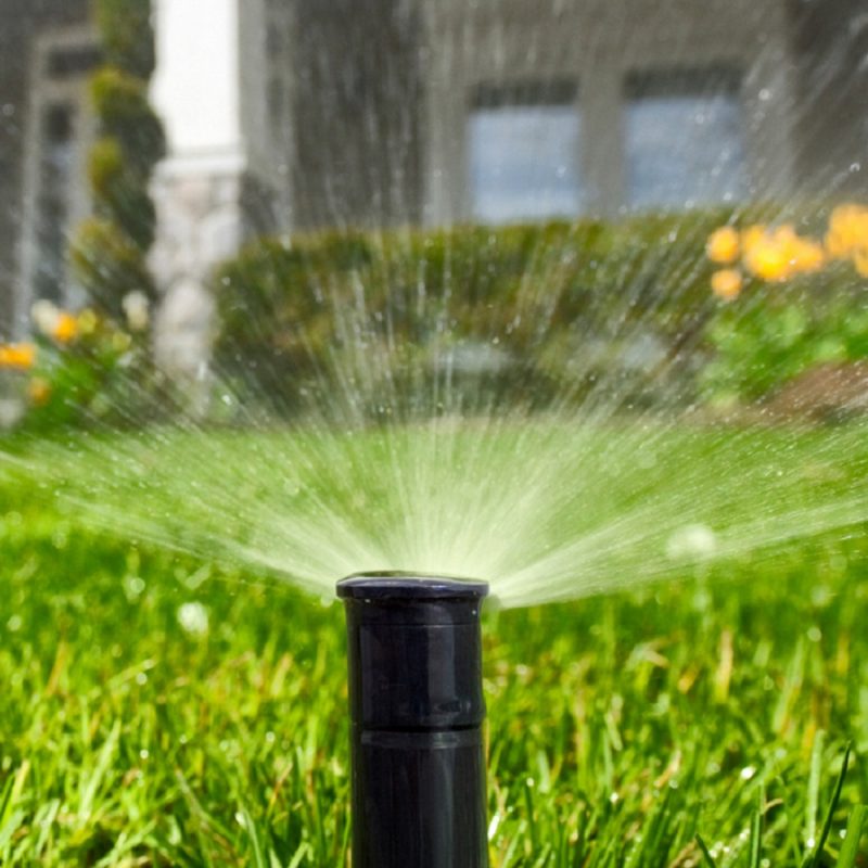 Lawn And Sprinkler Services The Lawn & Sprinkler Guys