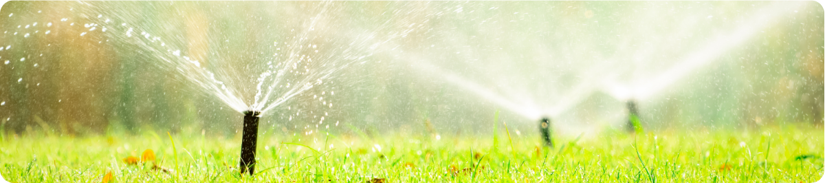 irrigation sprinklers on lawn