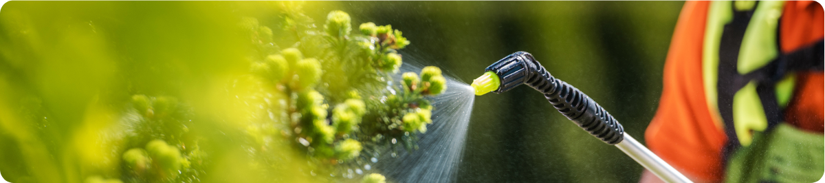 Surface Insecticide surface insecticide