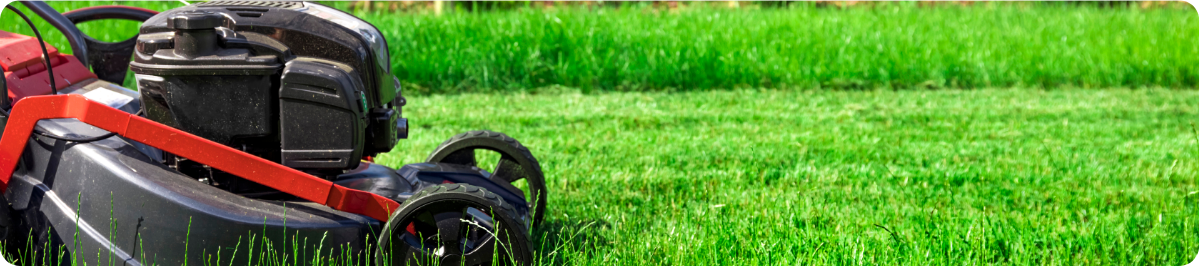Mowing (1) lawn mowing grass