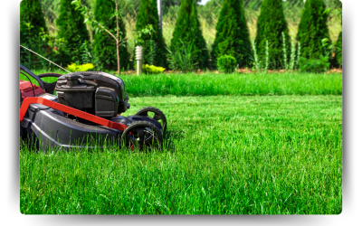 Top Lawn Mowing & Maintenance Tips for a Healthier Yard