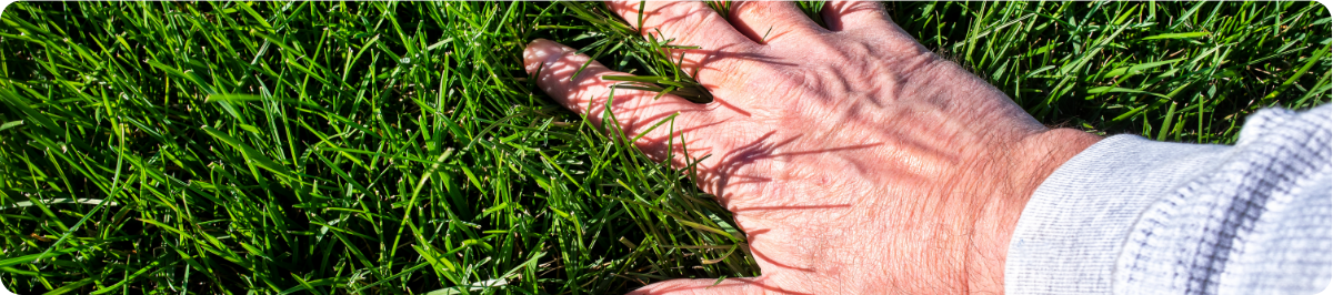 Hand in grass