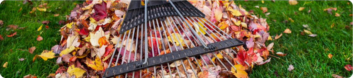 raking leaves